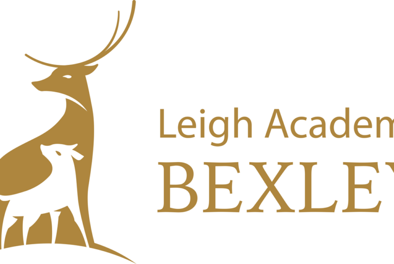 Teacher of Social Sciences