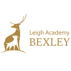 Teacher of Business Studies
